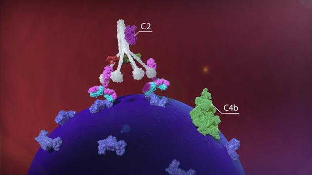 Exagen Diagnostics
